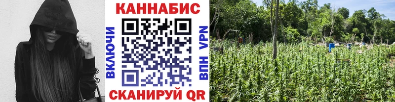 Бошки Шишки MAZAR Бабушкин